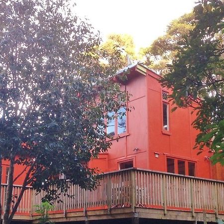 The Coromandel Treehouse Экстерьер фото
