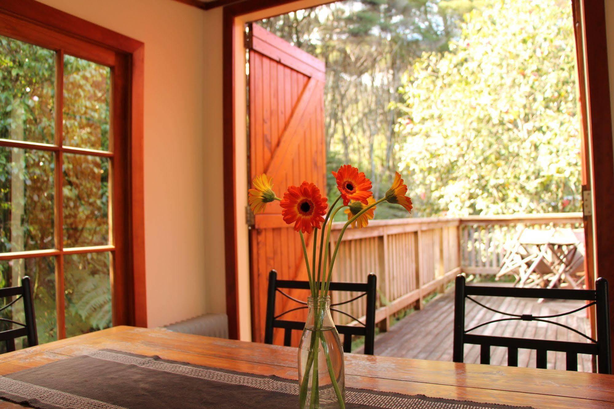 The Coromandel Treehouse Экстерьер фото